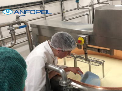 Basics of cheese technology (Les Bases de la technologie fromagère)