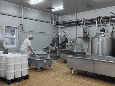 Basics of Dairy Technology