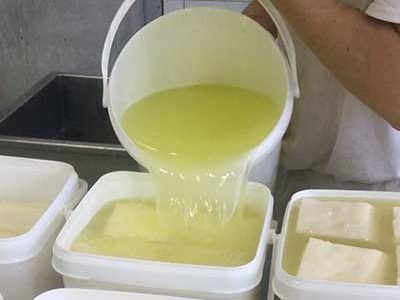 Small Scale Dairy Processing