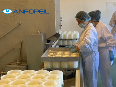 Cheese-making technology applied to soft cheeses (Technologie fromagère appliquée aux pates molles)