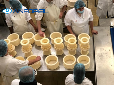 Cheese-making technology applied to uncooked pressed cheeses (Technologie fromagère appliquée aux pates pressées non cuites)