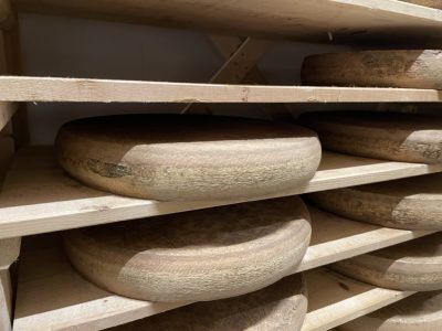 Introduction to the Manufacture and Science of Cheese