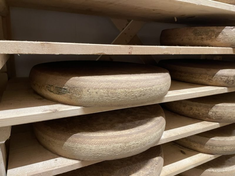 Introduction to the Manufacture and Science of Cheese