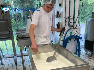 Preparing cheese milk (Préparation des laits de fromagerie)