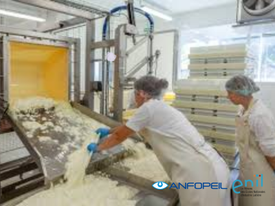 HND BIOQUALIM - Dairy products