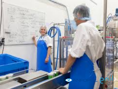 Bachelor - Dairy products manufacturing management