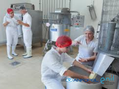 Bachelor - Cheese technology, quality and innovation