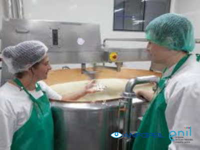 Bachelor - Manager of traditional cheeses plant