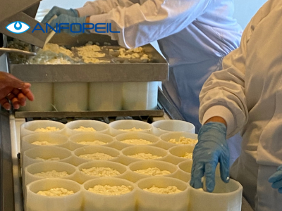 Processed cheese tecnology