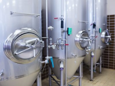 Ingredient Recovery from Milk, Whey and their Co-Products